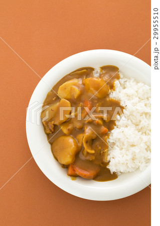 カレーライス 29955510