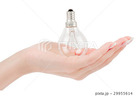 Lit lightbulb held in hand 29955614