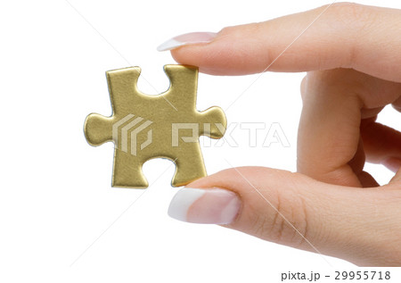 puzzle piece 29955718