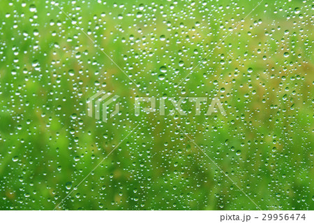 背景素材_ガラスと水玉と新緑 背景素材_ガラスと水玉と新緑 29956474
