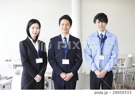 ビジネスイメージ　チーム 29956555