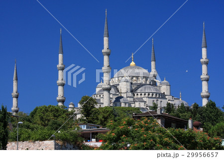 昼間のブルーモスク 29956657
