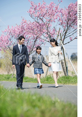 桜並木を歩くファミリー 桜並木を歩くファミリー 29956803