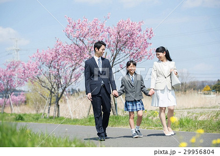 桜並木を歩くファミリー 29956804
