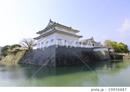 駿府城 巽櫓 駿府城 巽櫓 29956887