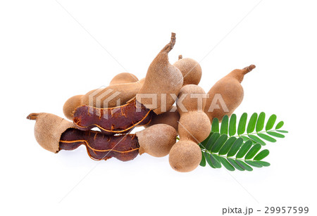 Tamarind on white background 29957599