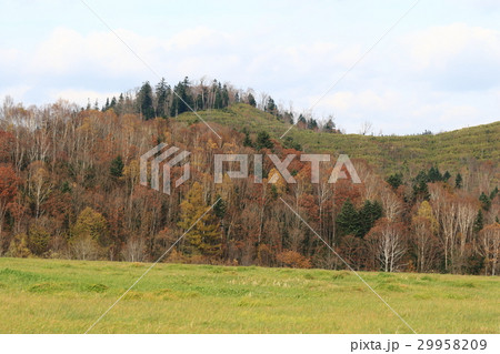北海道 景色 風景 29958209