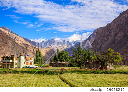 Turtuk village, Diskit, Jammu and Kashmir, India 29958212