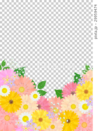花 29959474