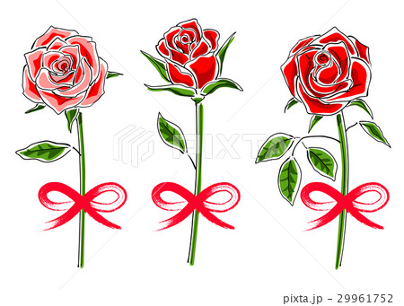 赤いバラのセット リボン付 のイラスト素材