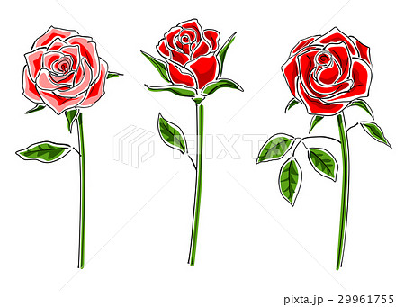 A Set Of Red Roses Simple Stock Illustration