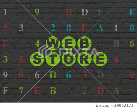 Web development concept: Web Store on wall 29962172