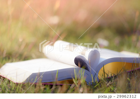 pages of a book curved into a heart shape on grass 29962312