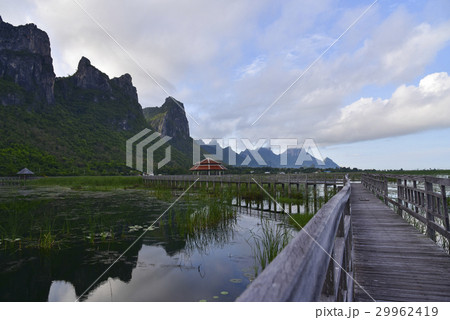 The limestone mountain path on the lagoon The limestone mountain path on the lagoon 29962419