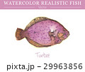 Hand painted watercolor edible fish. Vector design 29963856