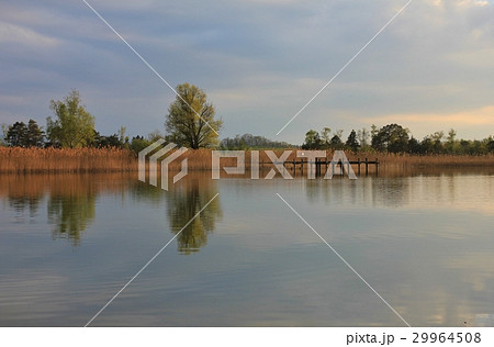 Spring day at lake Pfaffikon, Switzerland 29964508