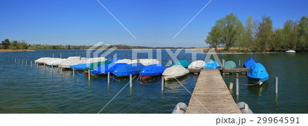 Spring day in Auslikon, lake Pfaffikon 29964591