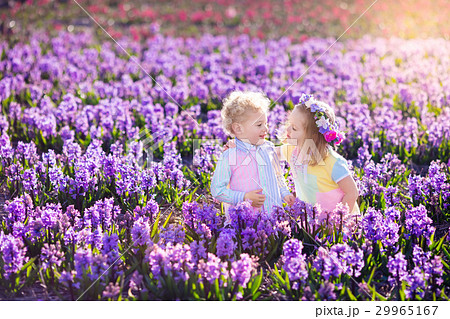 Kids play in blooming garden with hyacinth flowers Kids play in blooming garden with hyacinth flowers 29965167