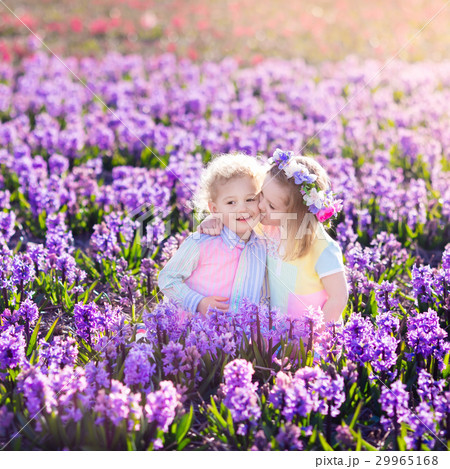 Kids play in blooming garden with hyacinth flowers Kids play in blooming garden with hyacinth flowers 29965168