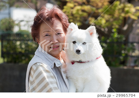 犬のペットとシニア女性 29965704