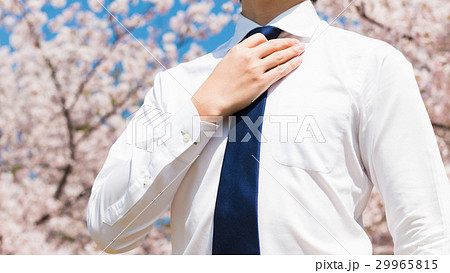 ビジネスマンと桜の花,春イメージ 29965815