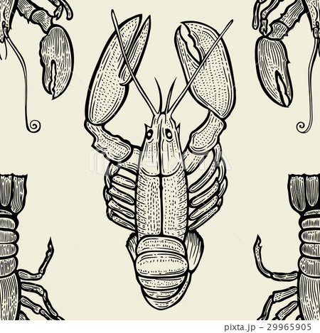 seamless pattern of seafood. 29965905