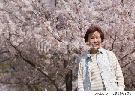 屋外を散歩しているシニア女性 29966306