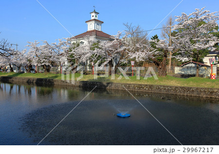 鶴岡公園 鶴岡公園 29967217