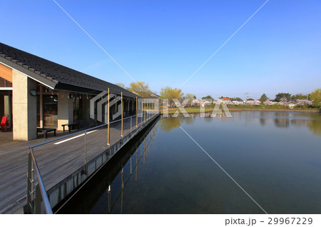 鶴岡公園 新百間堀 鶴岡公園 新百間堀 29967229
