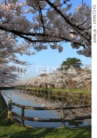 鶴岡公園　お堀 29967245