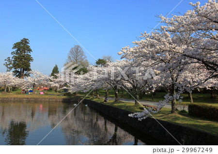 鶴岡公園　お堀 29967249