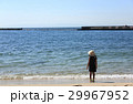 波うちぎわにたたずむ少女 波うちぎわにたたずむ少女 29967952