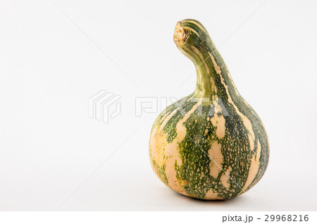 Pumpkin (Cucurbita maxima) isolated 29968216