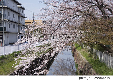 浦安市 4月 29968219