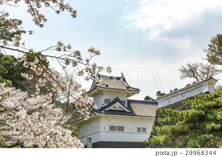桜と仙台城（隅櫓） 29968344