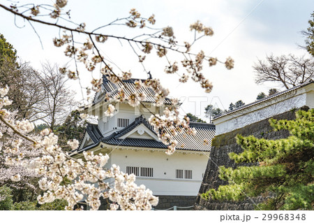 桜と仙台城（隅櫓） 29968348