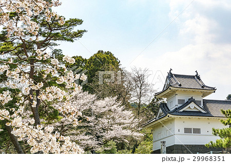 桜と仙台城（隅櫓） 29968351
