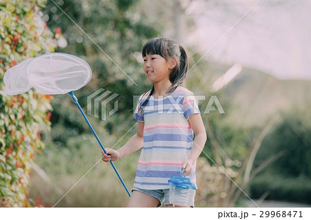 虫取りする女の子　夏休み 29968471