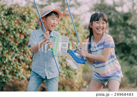 昆虫採集する子供　夏休み 29968483