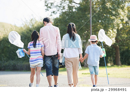 虫取りに行く家族の後ろ姿 29968491