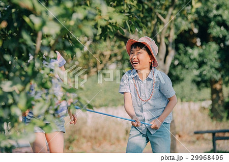 昆虫採集する子供　夏休み 29968496