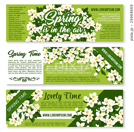 Vector Spring time floral greeting banners Vector Spring time floral greeting banners 29968669