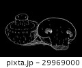 White mushrooms on black background 29969000