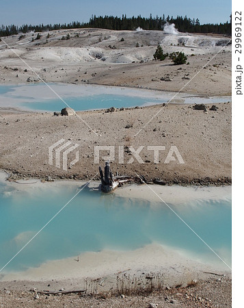 ノリス・ガイザーベイスン 29969122