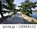 九州への旅、春めいてまいりました、大濠公園の風景を、ご紹介いたします。 29969132