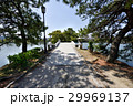 九州への旅、春めいてまいりました、大濠公園の風景を、ご紹介いたします。 29969137