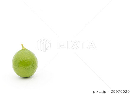 キーライム:Key Lime キーライム:Key Lime 29970020