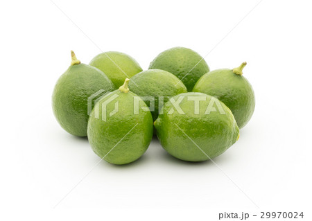 キーライム：Key Lime 29970024