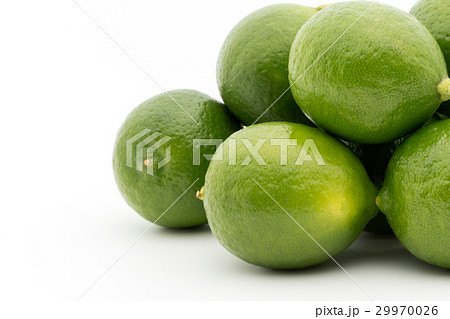 キーライム:Key Lime キーライム:Key Lime 29970026