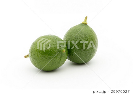 キーライム：Key Lime 29970027